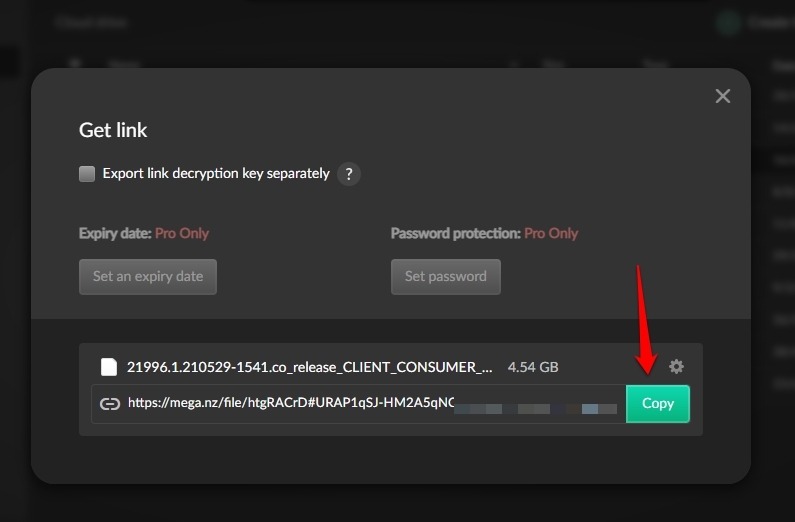 mega file decryption key bypass