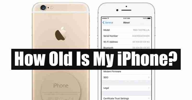 How Old is My iPhone?