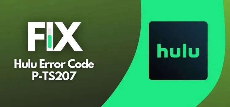 How to Fix Hulu Error Code P TS207  - 59