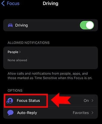 What Does Share Focus Status Mean on iOS  - 13