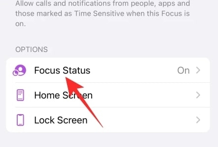 What Does Share Focus Status Mean on iOS?