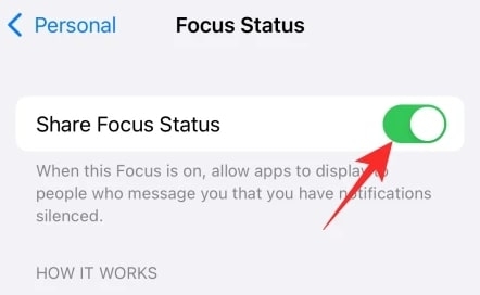 What Does Share Focus Status Mean on iOS  - 39