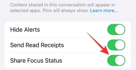 What Does Share Focus Status Mean on iOS  - 95