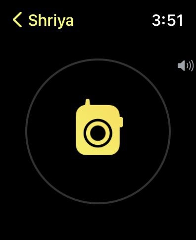 How To Use Walkie Talkie On Apple Watch  - 50