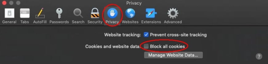 How to Enable Cookies in Safari Browser?
