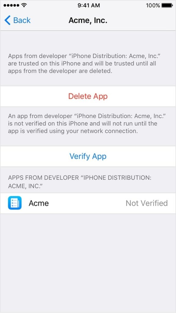 How to Trust an App on iPhone?