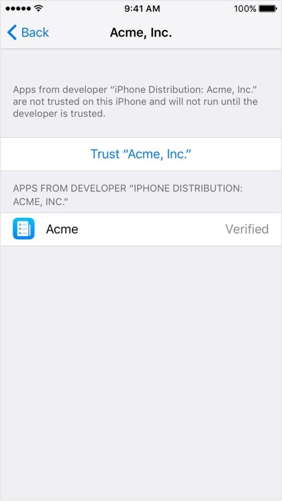 How to Trust an App on iPhone  - 65