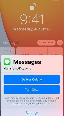 Отключить доставку тихо - не получать текстовые уведомления на iPhone