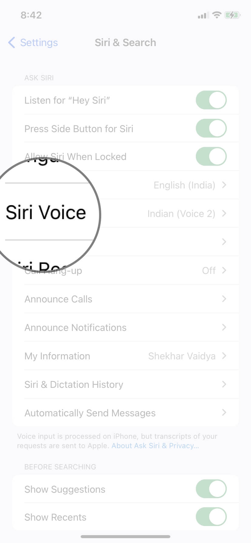 StepByStep Process to Change Siri Voice TechLatest