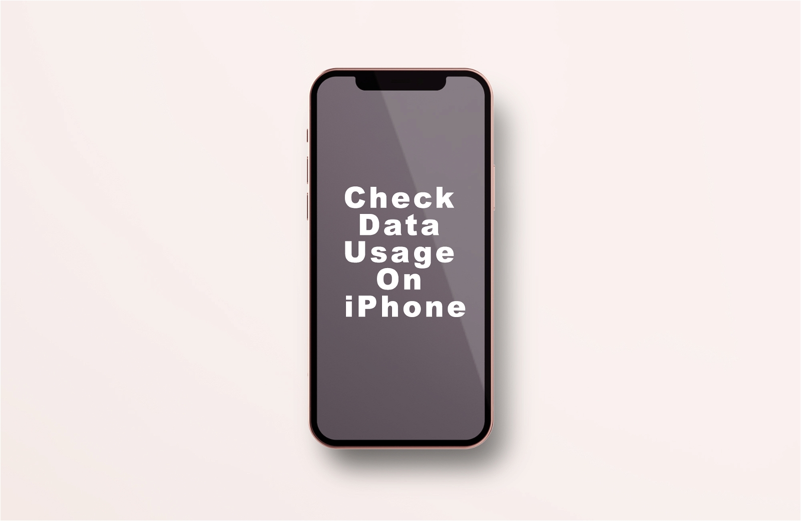 how-to-check-data-usage-on-iphone-techlatest