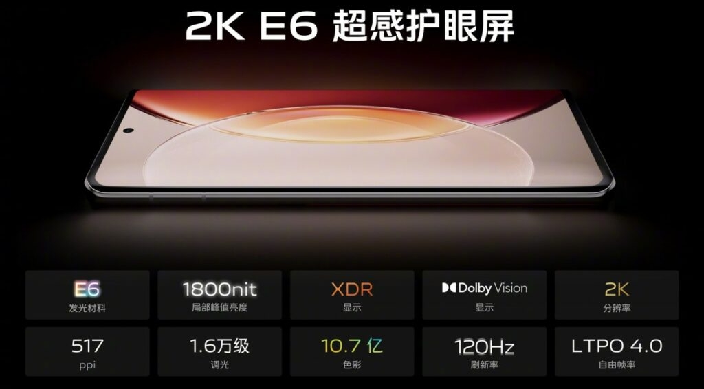 Vivo X90 Pro+ 5G Display Specs.