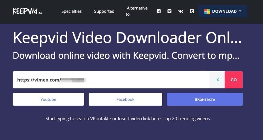 How to Download Any Video Off the Internet  - 11