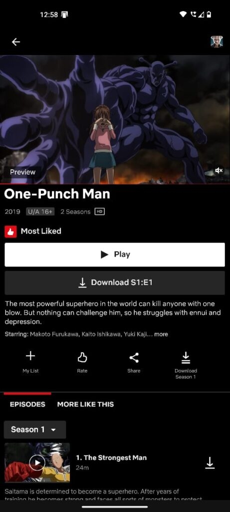 Netflix - Best Anime Streaming Apps for Android and iOS