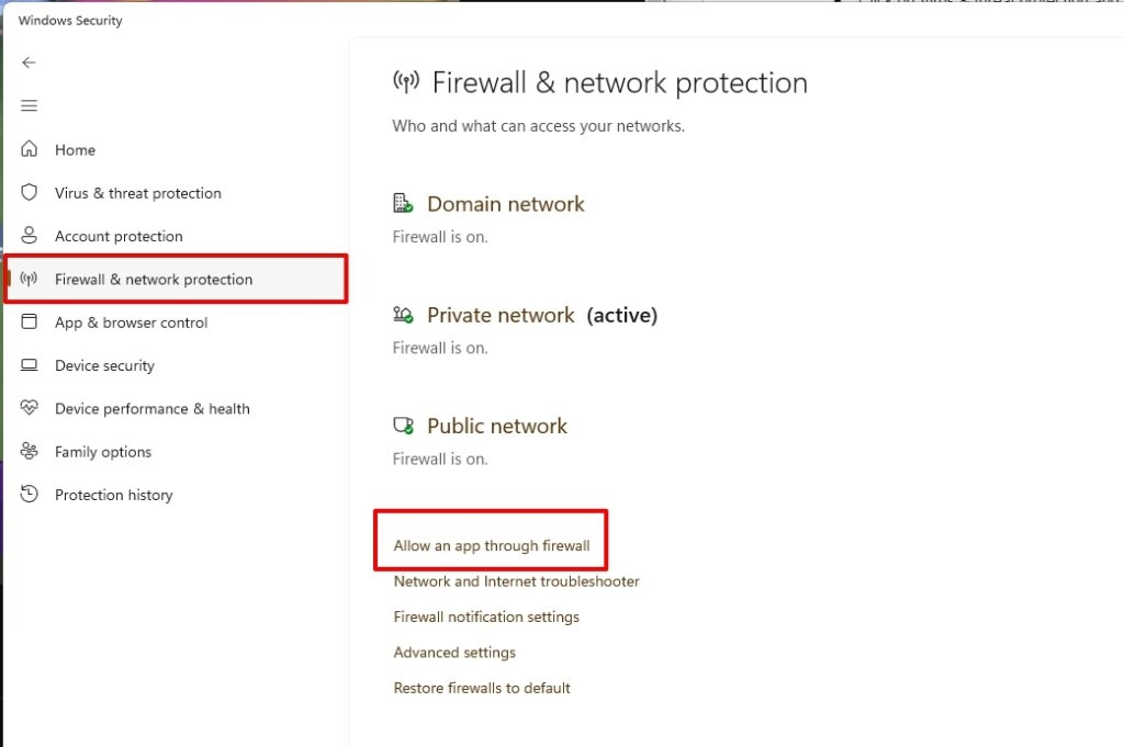 Windows Firewall Exceptions - Zoom Error Code 10004