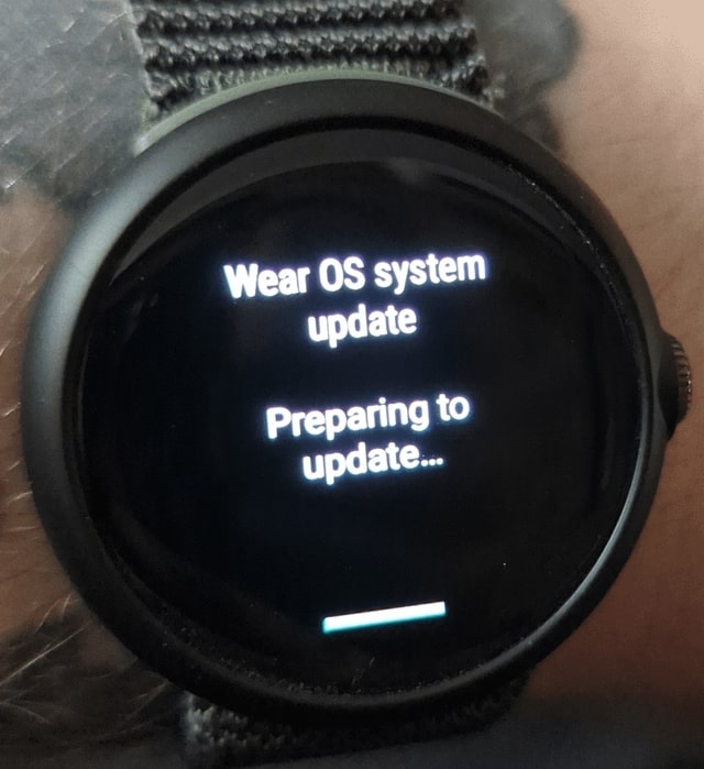 Pixel Watch Stuck on Preparing to Update