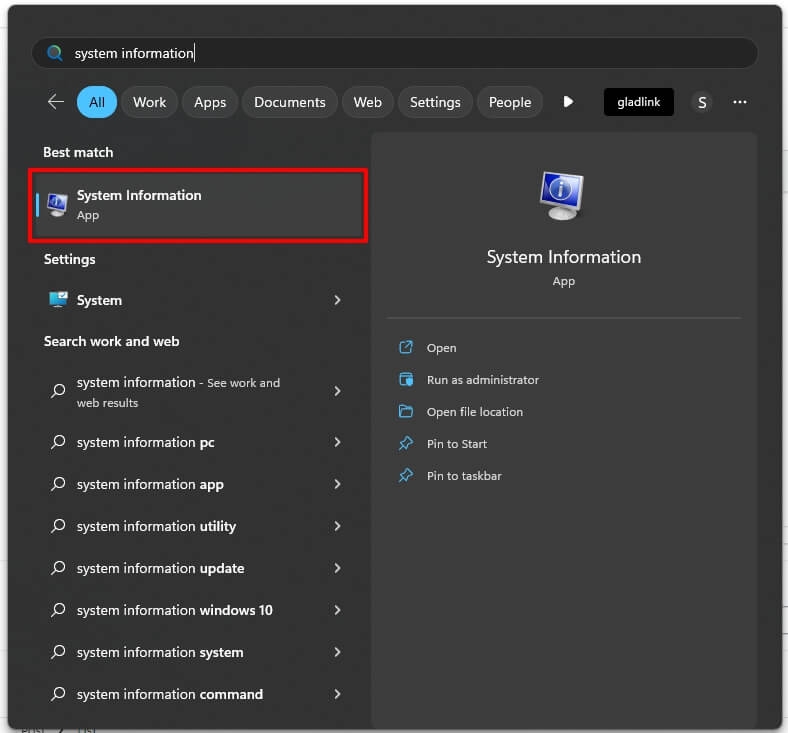 Search System Information - What's My Motherboard