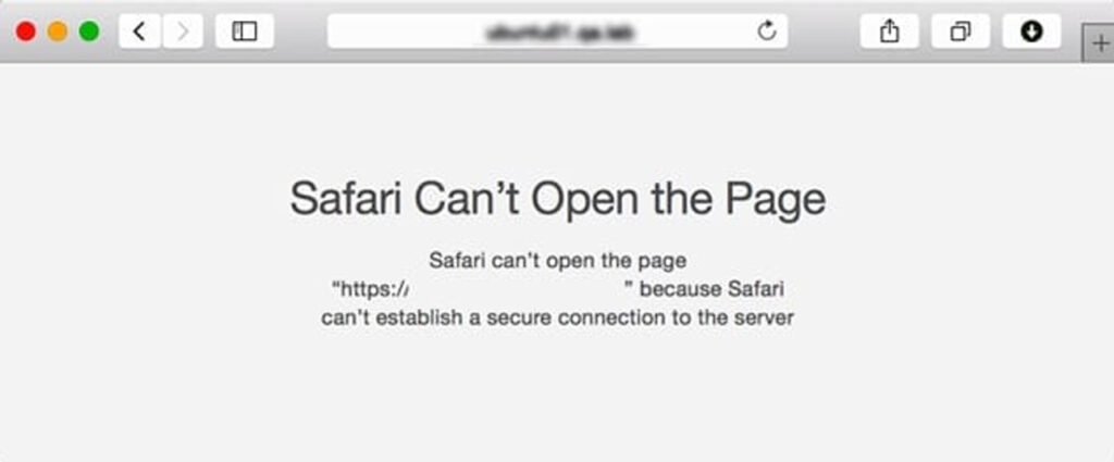 Can't establish connection. Safari can't reach the Server.