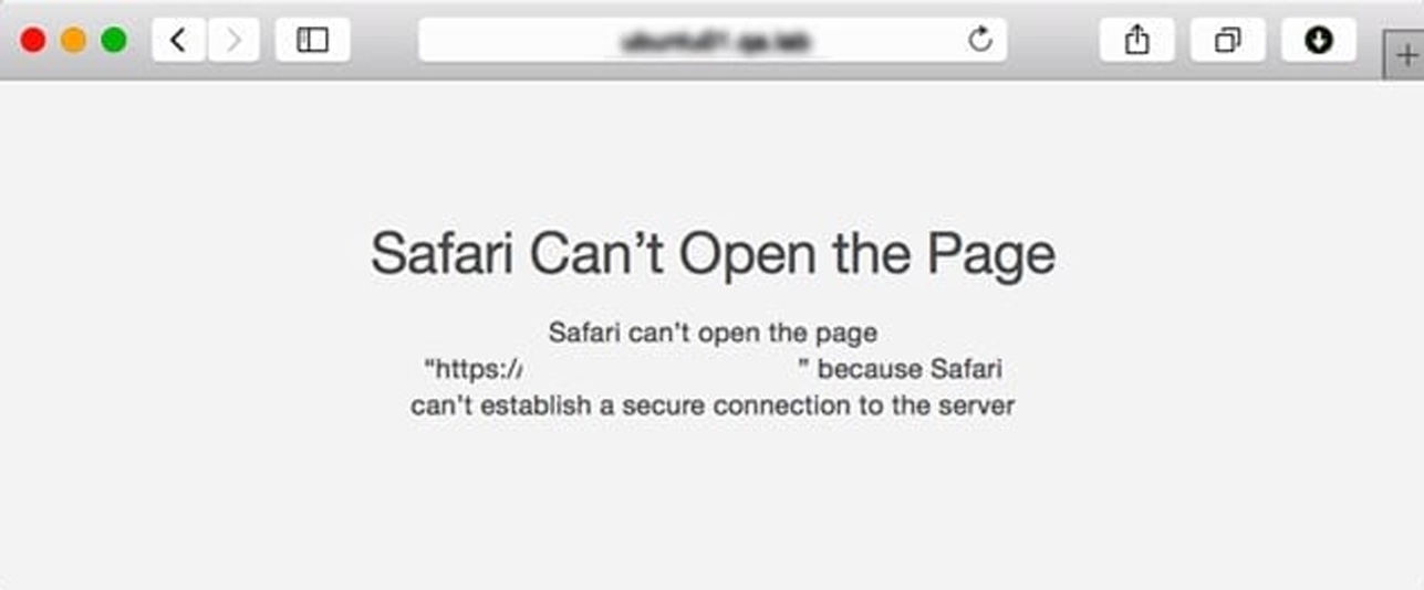 safari can't establish secure connection with netflix