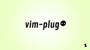 Vim Plug