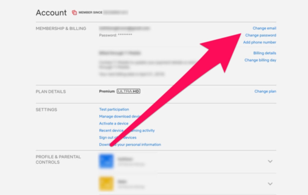 Change Password on Netflix - Too many people are using your account Netflix