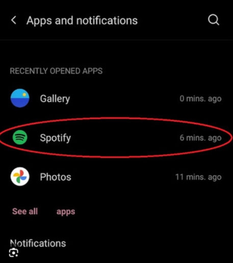 Check Spotify APP Permissions - Spotify DJ is Not Showing Up