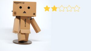 Amazon Fake Reviews