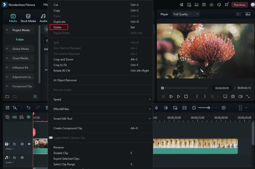 delete video