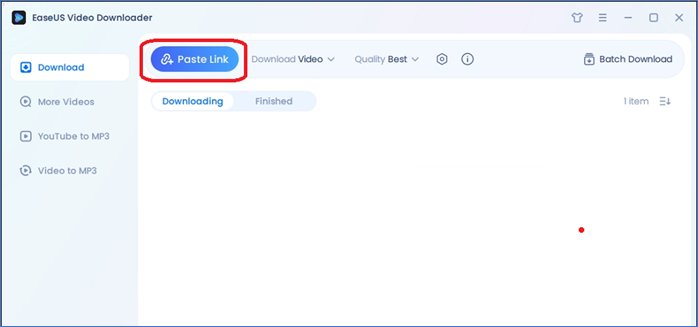 EaseUS Video Downloader