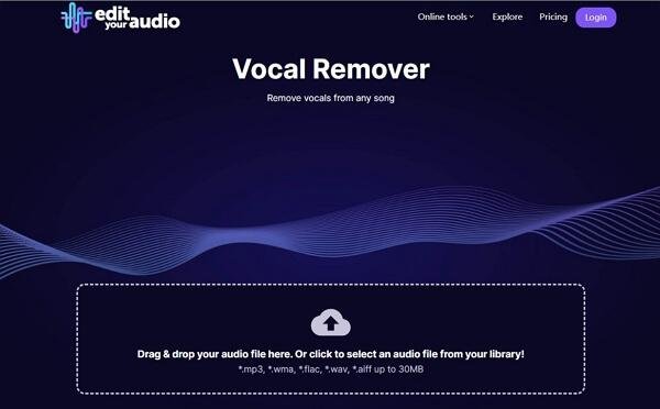 edit your video interface