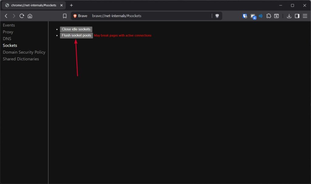Clear DNS Cache Using chrome://net-internals - 3