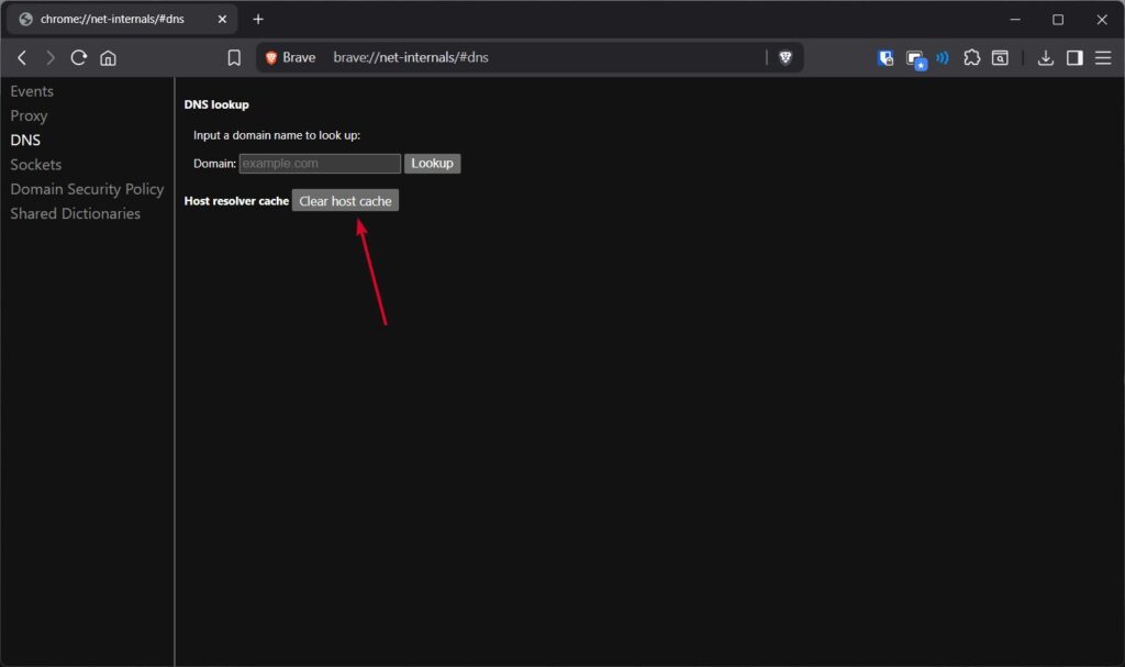 Clear DNS Cache Using chrome://net-internals - 2