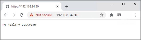No Healthy Upstream Error - 2