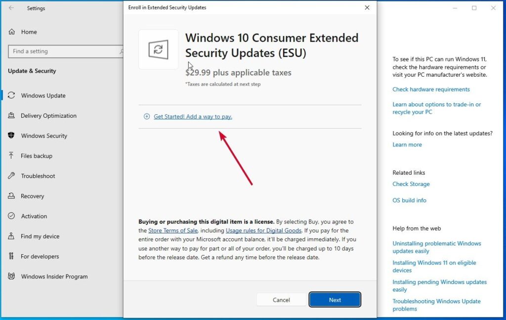 Extended Security Updates Purchase - 11