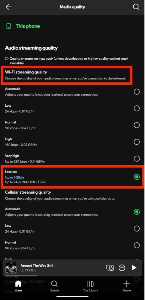 Lossless Audio in Spotify - 3