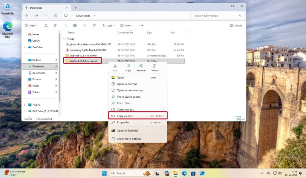 Copy ViVeTool Folder Path - 3