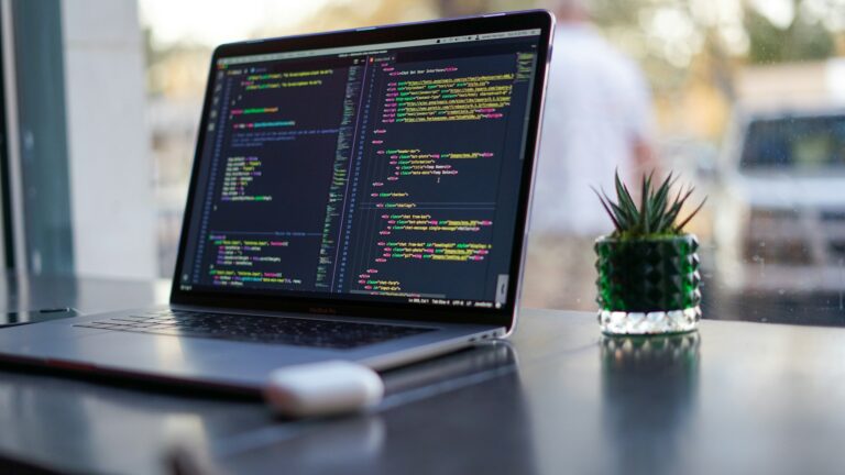 Laptop displaying colorful HTML and CSS code on a dark editor screen, with a small potted cactus beside it on a desk.
